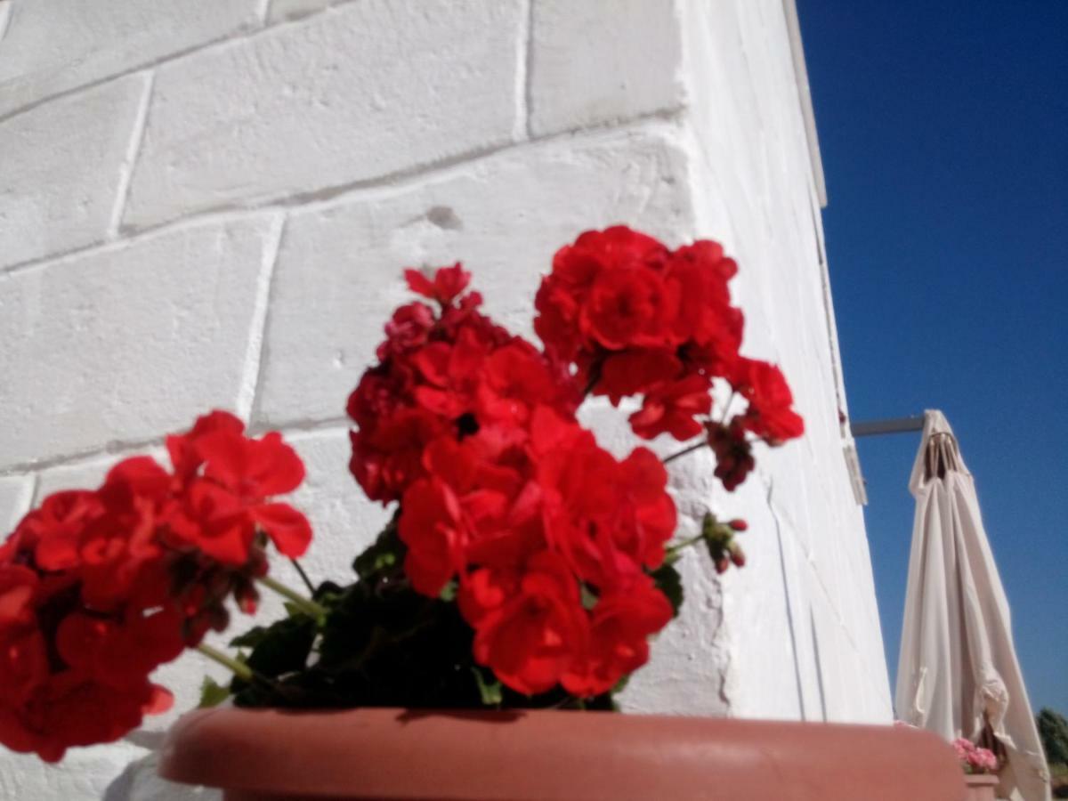 Hotel La Casa Bianca Monopoli Zewnętrze zdjęcie