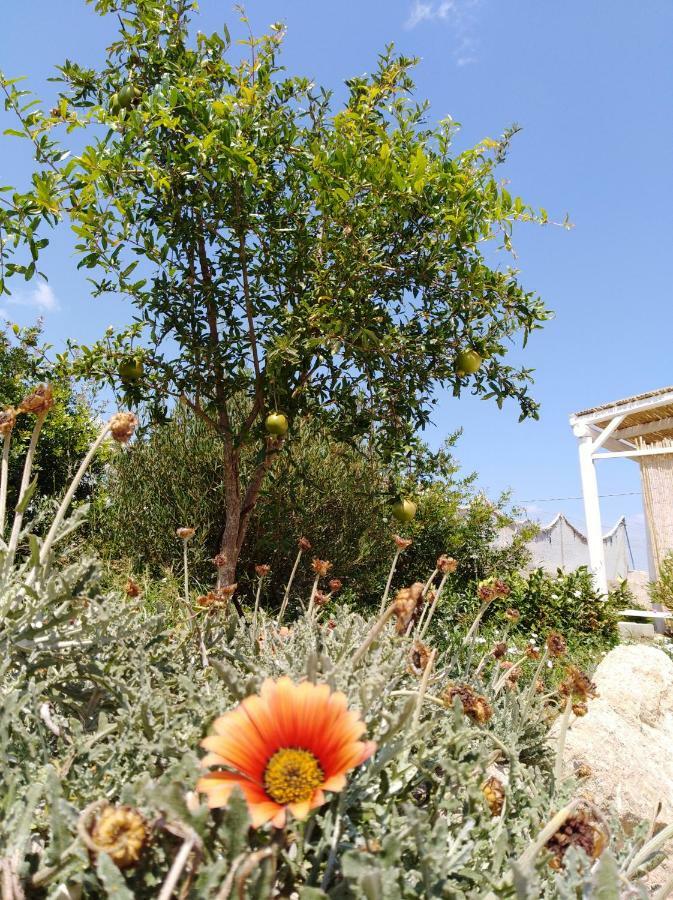 Hotel La Casa Bianca Monopoli Zewnętrze zdjęcie